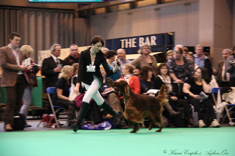 Crufts2011 841.jpg